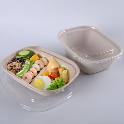 ظروف غذایی قابل تجزیه Biodegradable Microwavable 26OZ Bagasse